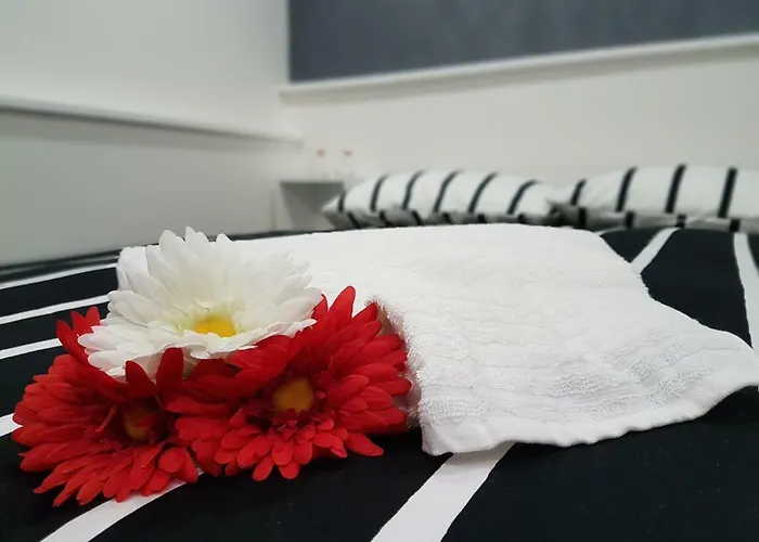 Casa Del Plebiscito Daire Katanya